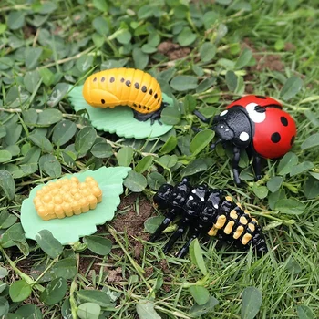 Praktični življenjski Cikel Figurice Metulj Pajek Čebel Ladybug Pastirjev, Plastični Žuželk Žuželka Številke Igrač, Šolskih Projektov za Otrok