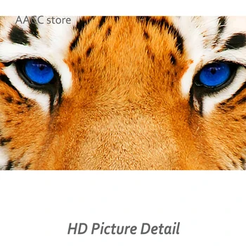 Platno Slike Tiger Modre Oči Plakatov In Fotografij Stene Črno Bele Živali Art Slik, ki Soba Domov 1 Kos Dekoracijo Cuadros