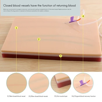 Usposabljanje Šivanje Praksi Kože Model Silikonski Model Večplastna Simulacije Kože Model Poučevanja