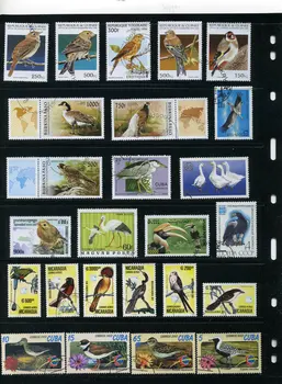 50Pcs/Veliko Ptica Papiga Orel Vse Razlikuje Od Mnogih Državah NE Ponovite Nerabljene Poštne Znamke za Zbiranje