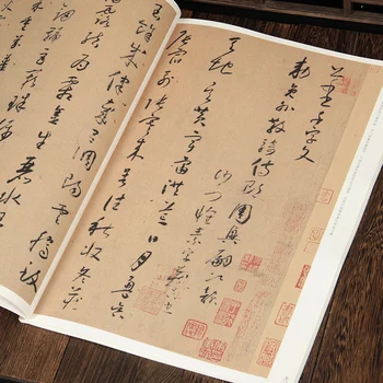Pečat Skriptov Pisanja Kitajskih Klasikov Napis Cursive Skript Krtačo Kaligrafija Zvezek Tisoč Znakov Razširjena Različica