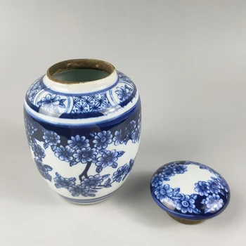 Odlično Zbirka Domov Dekoracijo Kitajski Klasično Ročno Modre in Bele Porcelanaste Cvet Modelov Jar / Pot