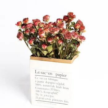 Naravno Visoko Kakovost Rose Eternelle Konzervirane Posušeno Cvetje Šopek Valentinovo, Darila Bohemian Elegantno Poročno Dekoracijo