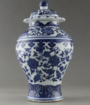 Fine porcelana Ročno Poslikane cvet Modre in Bele Porcelanaste vaze & Jar