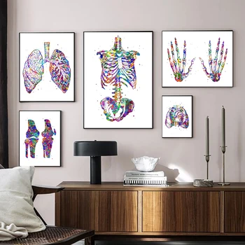 Akvarel Človeške Anatomije Platno Slikarstvo Mišični Sistem, Plakati Človeško Telo Sliko Medicinsko Izobraževanje Wall Art Soba Dekoracijo