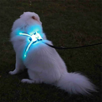 Nastavljiv hišne živali, proizvodnja Profesionalne led pes pas Nove 2020Favorites LED za Hišne živali Pes Mačka Pas in Povodec Vodi Usposabljanje za Varno