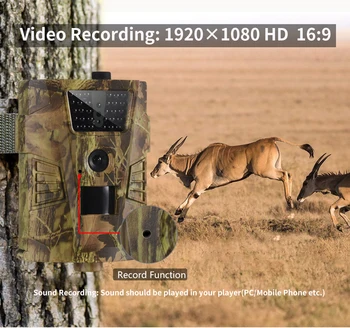 Suntekcam HT-001B Pot Kamera 12MP 1080P 30pcs Ir Led 850nm Lov IP65 Vodotesen 120 Stopinjskim Kotom Wild Night Vision